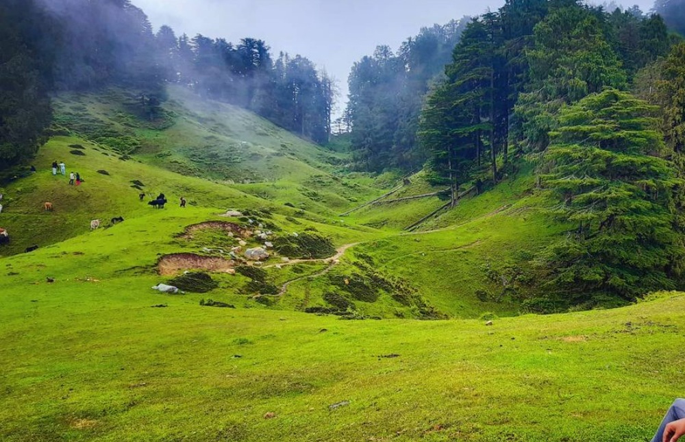 Suryam Resorts Chakrata Suryam Resorts Chakrata